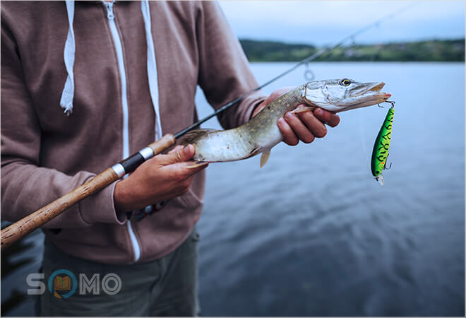 mơ thấy bắt cá ở suối có ý nghĩa gì