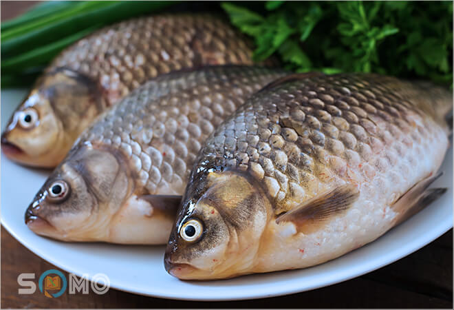 mơ thấy cá thường đánh lô đề con gì