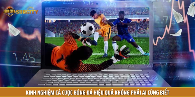 Áp dụng một số mẹo hay có thể giúp bạn tăng tỷ lệ thắng khi cá độ bóng đá