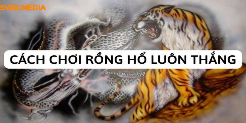 Tìm hiểu Rồng Hổ Sv88 là gì?