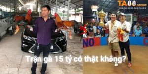 Trận đá gà này thực hư vẫn là ẩn số