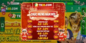 Chúc mừng năm mới Quý Mão 2023 cùng TK88 ưu đãi cực HOT