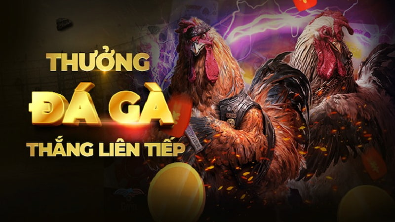 4 khuyến mãi cực sốc chỉ có tại Trực tiếp đá gà C1