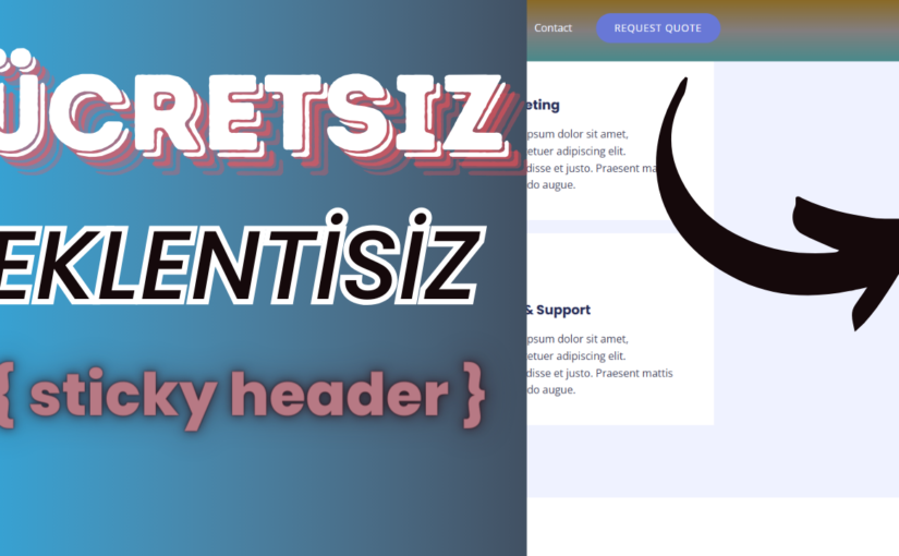 WordPress Astra Temada Ücretsiz Sticky Header Aktif Etmek