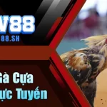 Đá Gà Cựa Sắt Trực Tuyến