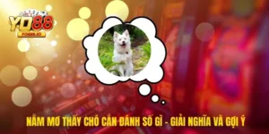 Nằm Mơ Thấy Chó Cắn Đánh Số Gì - Giải Nghĩa Và Gợi Ý